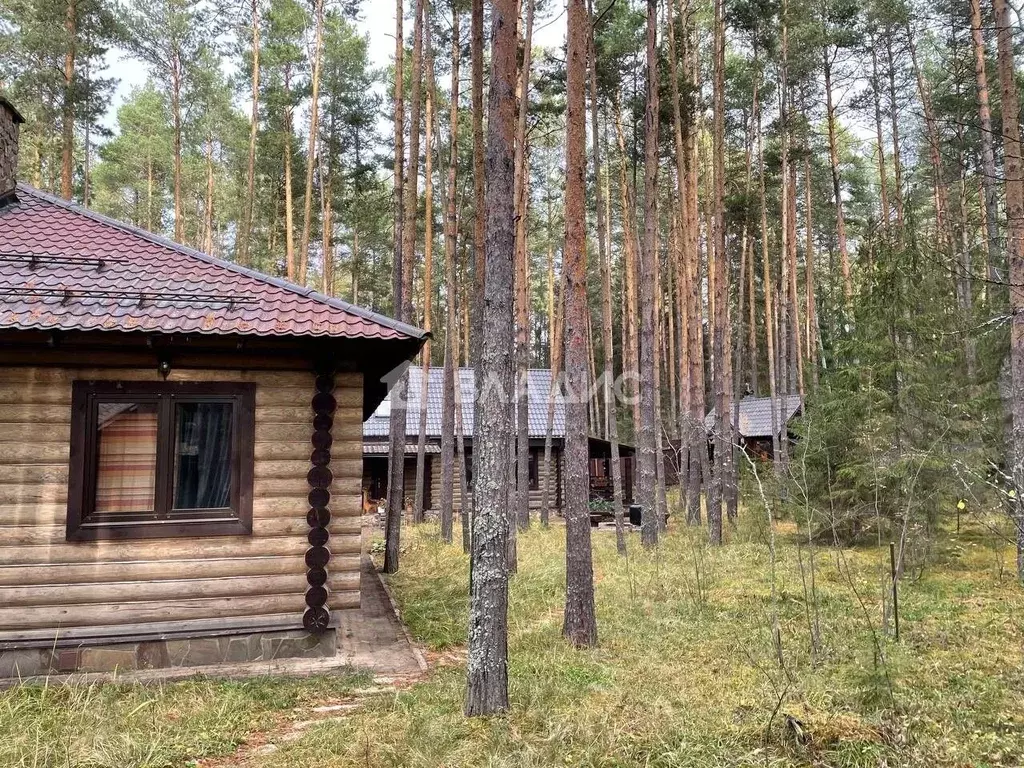 Дом в Нижегородская область, Городецкий муниципальный округ, Дружба кп ... - Фото 1