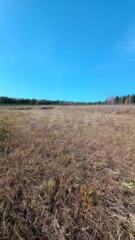 Участок 300 га (СНТ, ДНП) - Фото 0