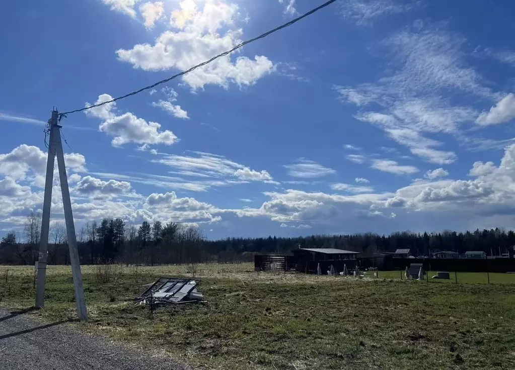 Участок в Ленинградская область, Тосненское городское поселение, д. ... - Фото 2