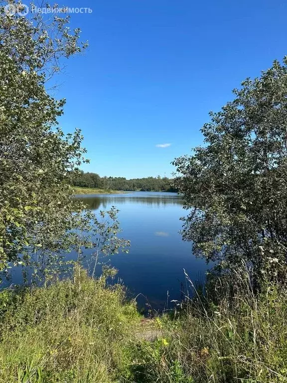 Участок в Московская область, городской округ Клин, деревня Кузнечково ... - Фото 0