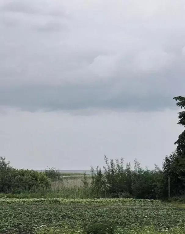 Участок в Псковская область, Печорский муниципальный округ, д. Песок  ... - Фото 2