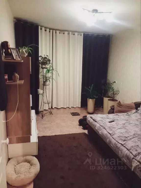 1-к кв. Воронежская область, Воронеж Острогожская ул., 170/12 (37.0 м) - Фото 0