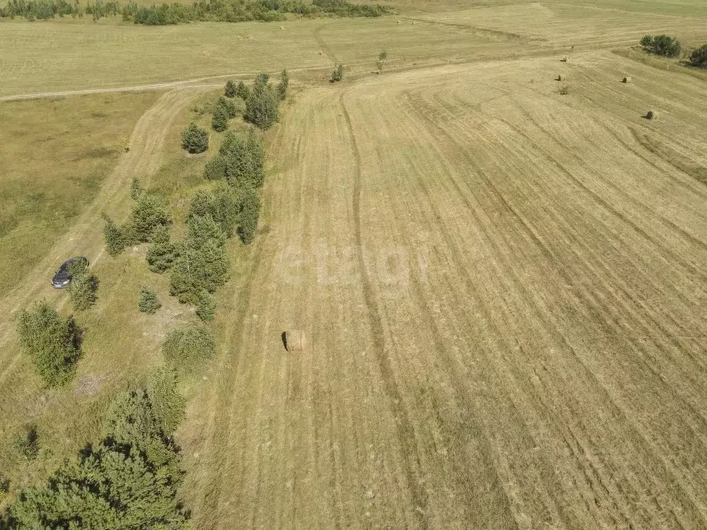 Участок в Тюменская область, Тюменский муниципальный округ, д. Речкина ... - Фото 2