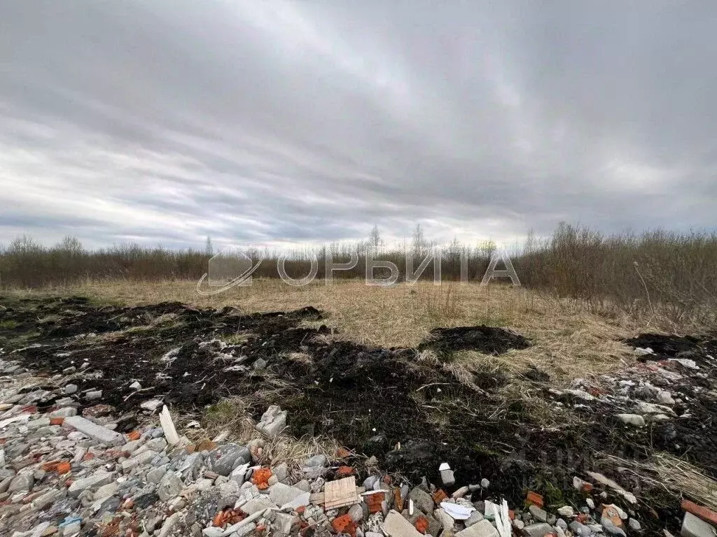 Участок в Тюменская область, Тюмень Большое Царево-1 СНТ,  (9.7 сот.) - Фото 1