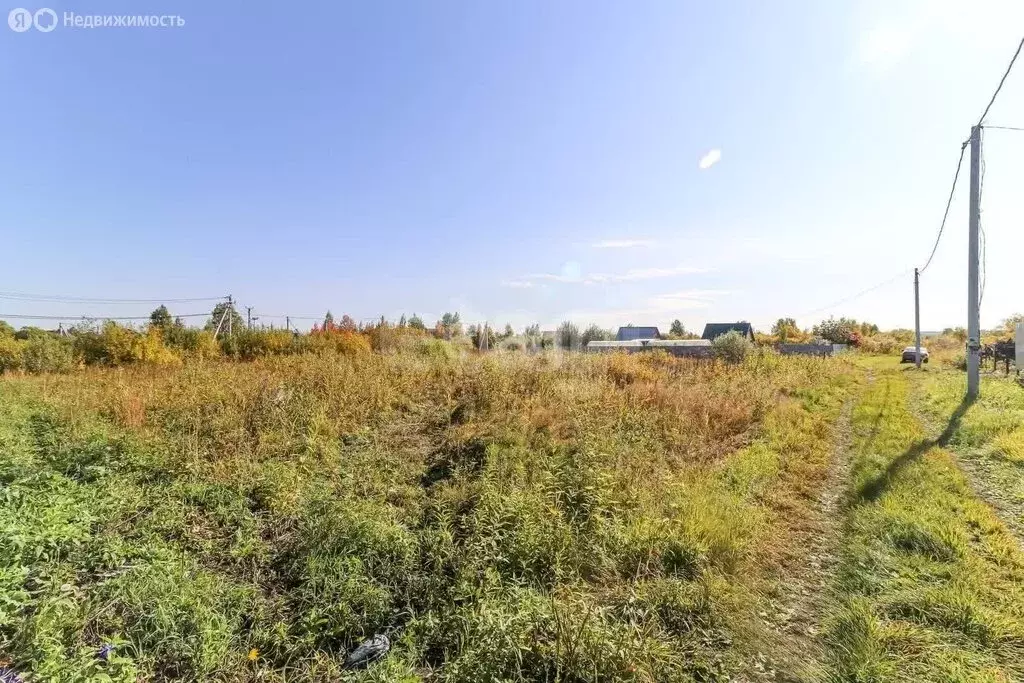 Участок в Тюменский муниципальный округ, СНТ Лоза, 5-я улица (8 м) - Фото 2