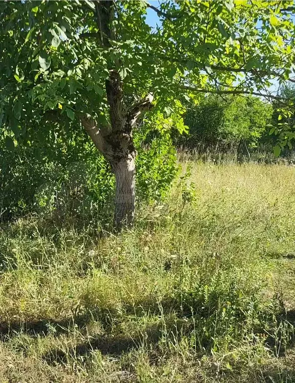 Участок 5 сот. (СНТ, ДНП) - Фото 0