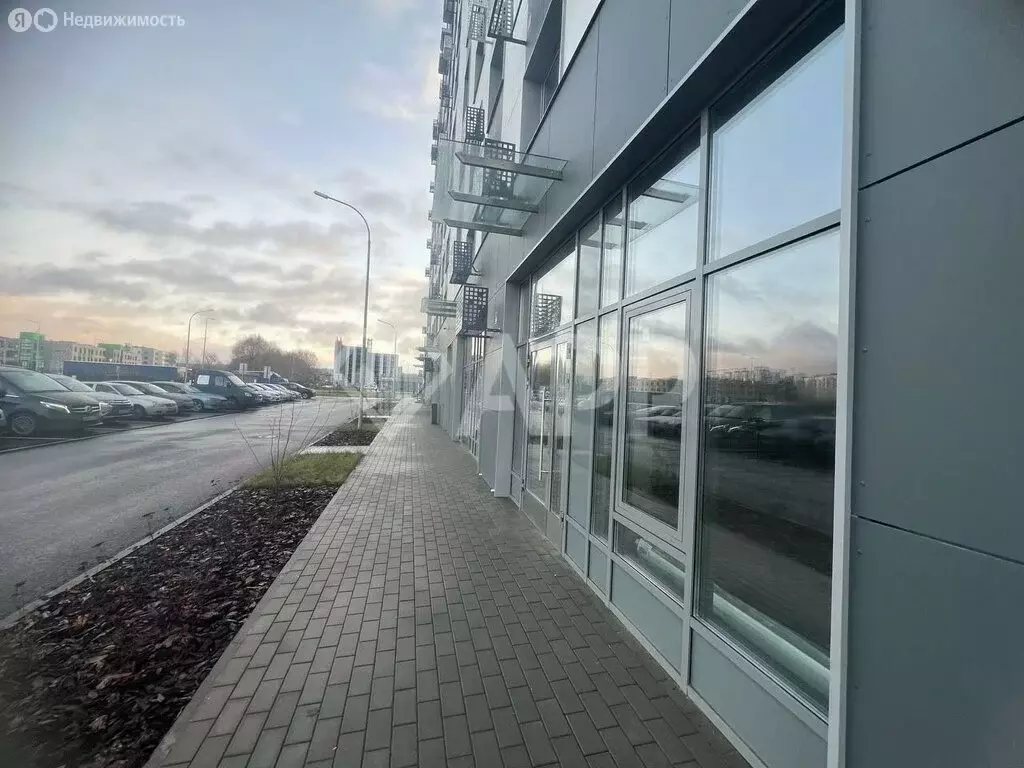 Помещение свободного назначения (54.6 м) - Фото 1