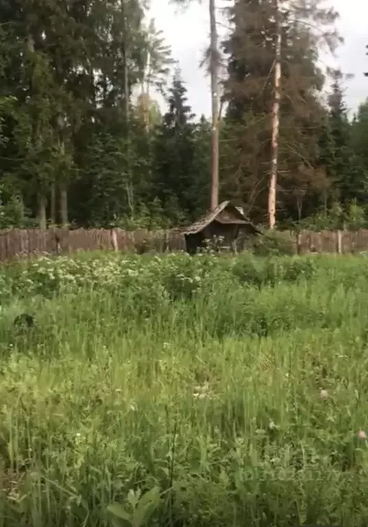 Участок в Московская область, Одинцовский городской округ, Энергия СНТ ... - Фото 1