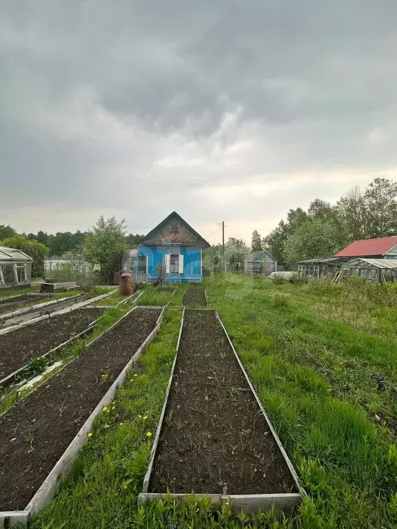 Дача, 30 м - Фото 1