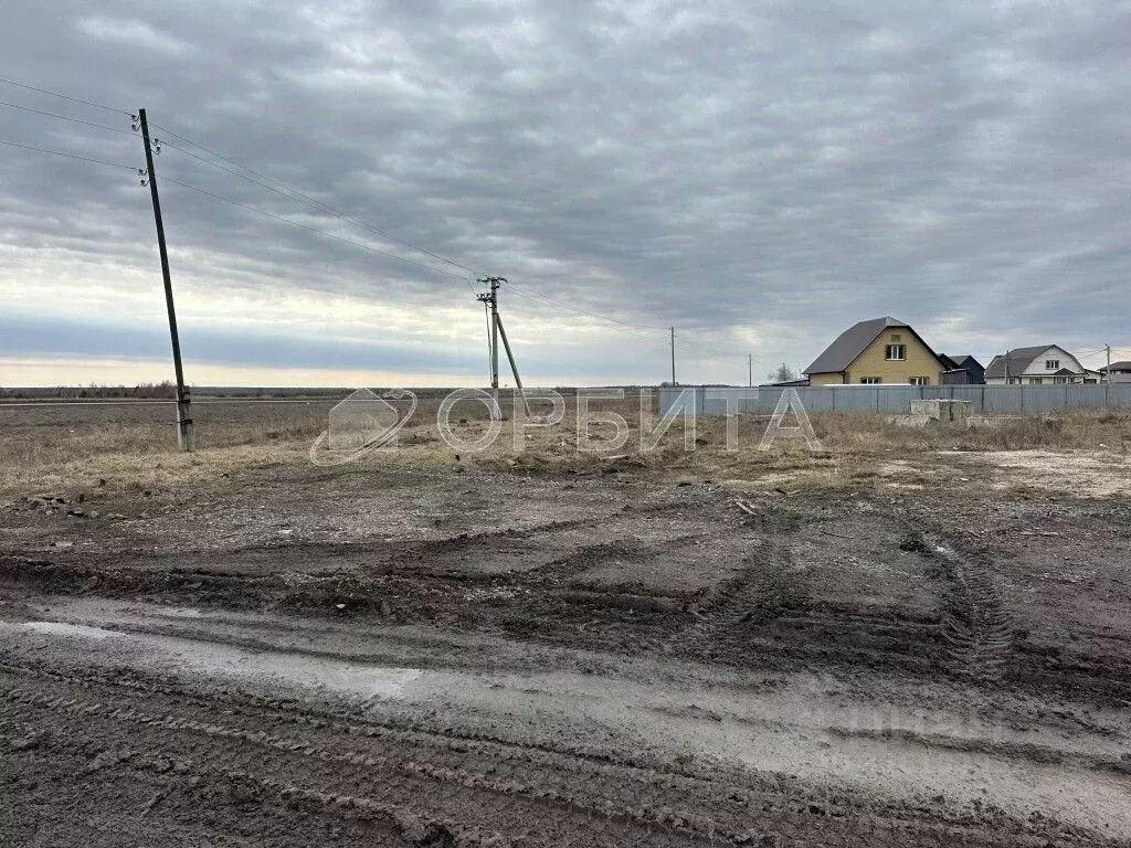 Участок в Тюменская область, Тюменский район, с. Червишево ул. 2-я ... - Фото 1
