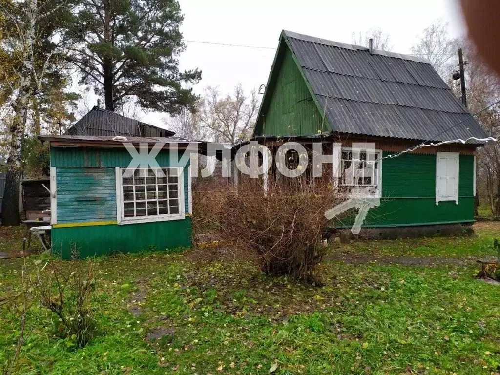 Дом в Новосибирская область, Новосибирский район, Барышевский ... - Фото 1