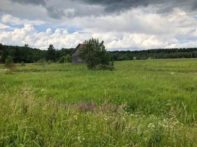 Участок в Ленинградская область, Гатчинский район, д. Мыза 5 (10.0 ... - Фото 0