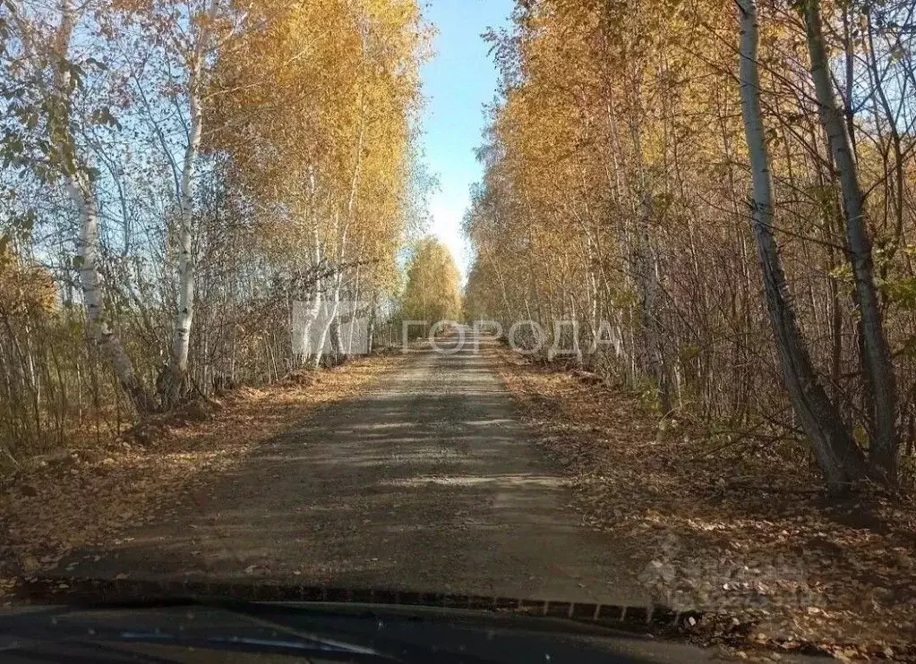 Участок в Новосибирская область, Новосибирский район, Морской ... - Фото 1