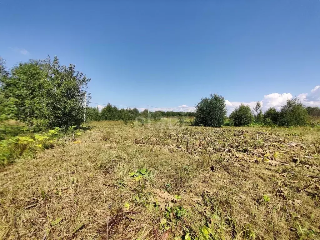 Участок в Коми, Сыктывдинский район, с. Выльгорт ул. Хвойная (8.7 ... - Фото 2