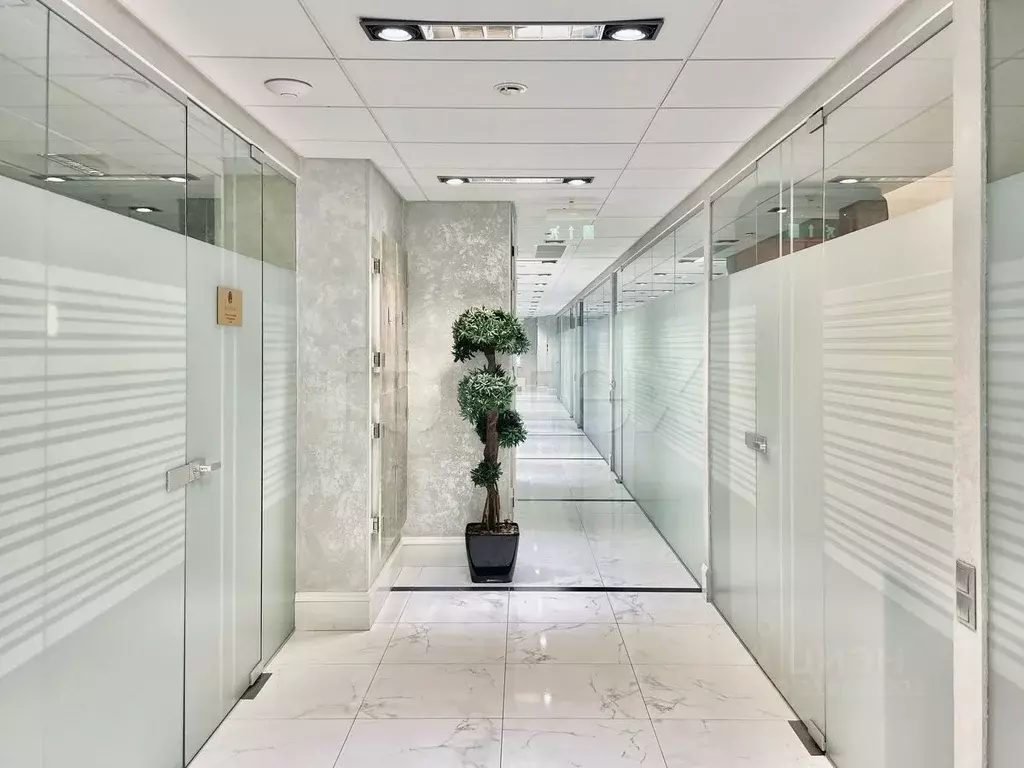 Офис в Москва Рябиновая ул., 26С1 (1129 м) - Фото 1