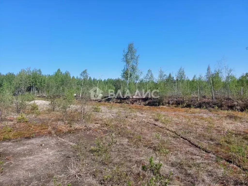 Участок в Ленинградская область, Кировское городское поселение А-120 ... - Фото 2