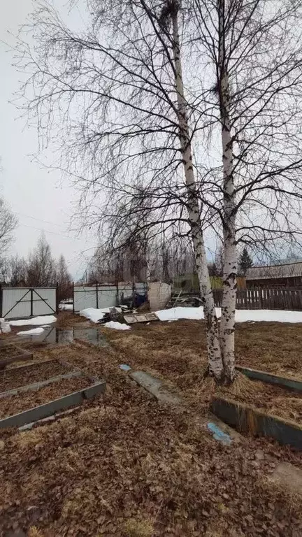 Участок в Коми, Парма пгт ул. Аэродромная (5.5 сот.) - Фото 1