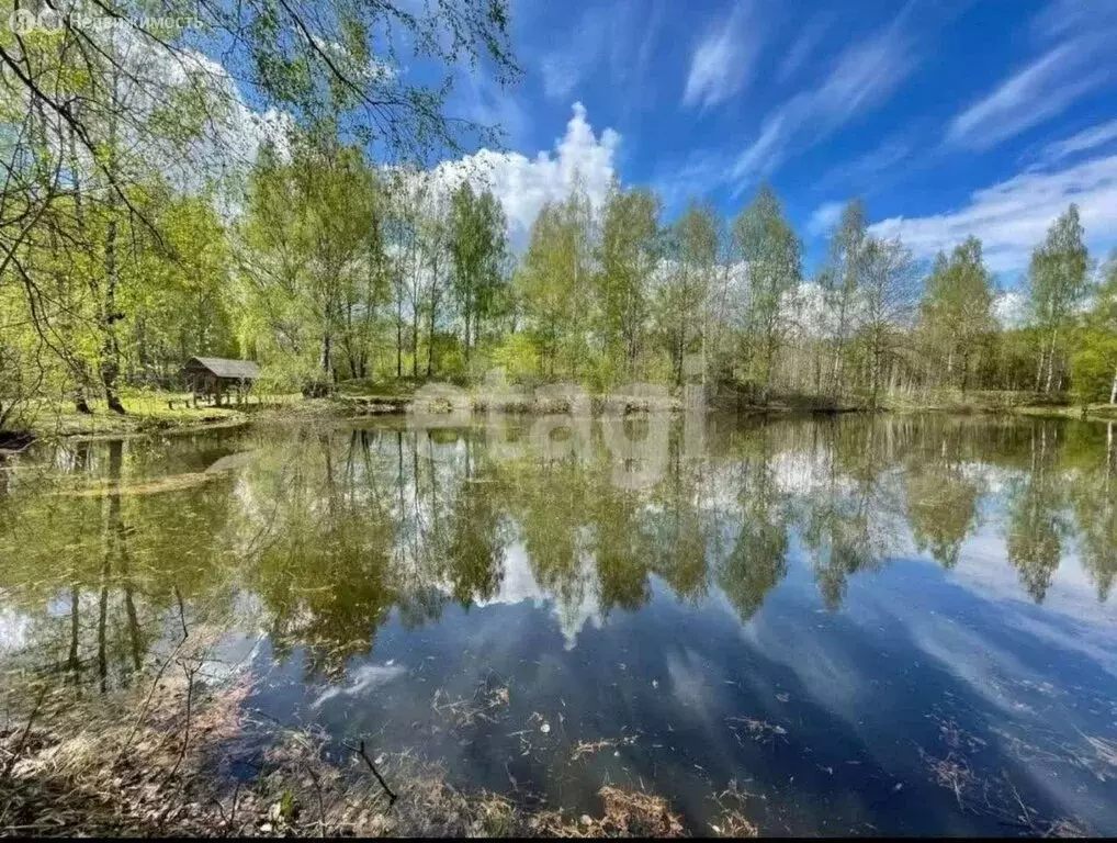 Дом в Костромской район, Бакшеевское сельское поселение, деревня ... - Фото 1