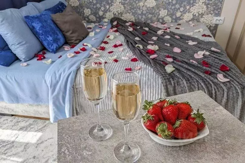 1-к кв. Омская область, Омск Светловская ул., 10 (24.0 м) - Фото 2