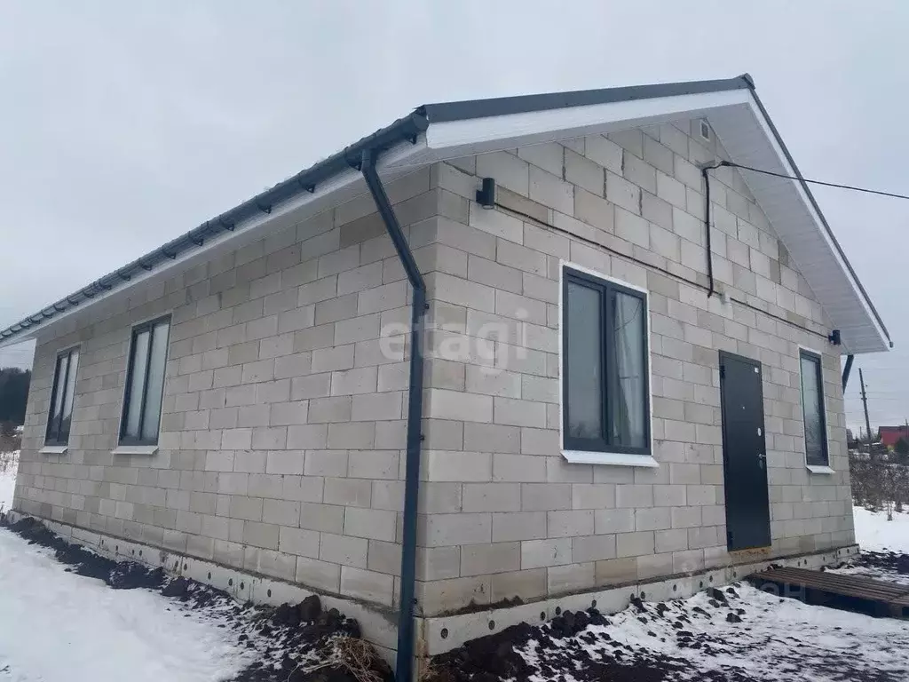 Дом в Пермский край, д. Устиново ул. Григорьева, 15 (75 м) - Фото 0