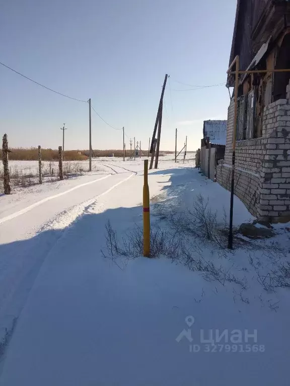 Участок в Волгоградская область, Дубовский район, Пичужинское с/пос, ... - Фото 2