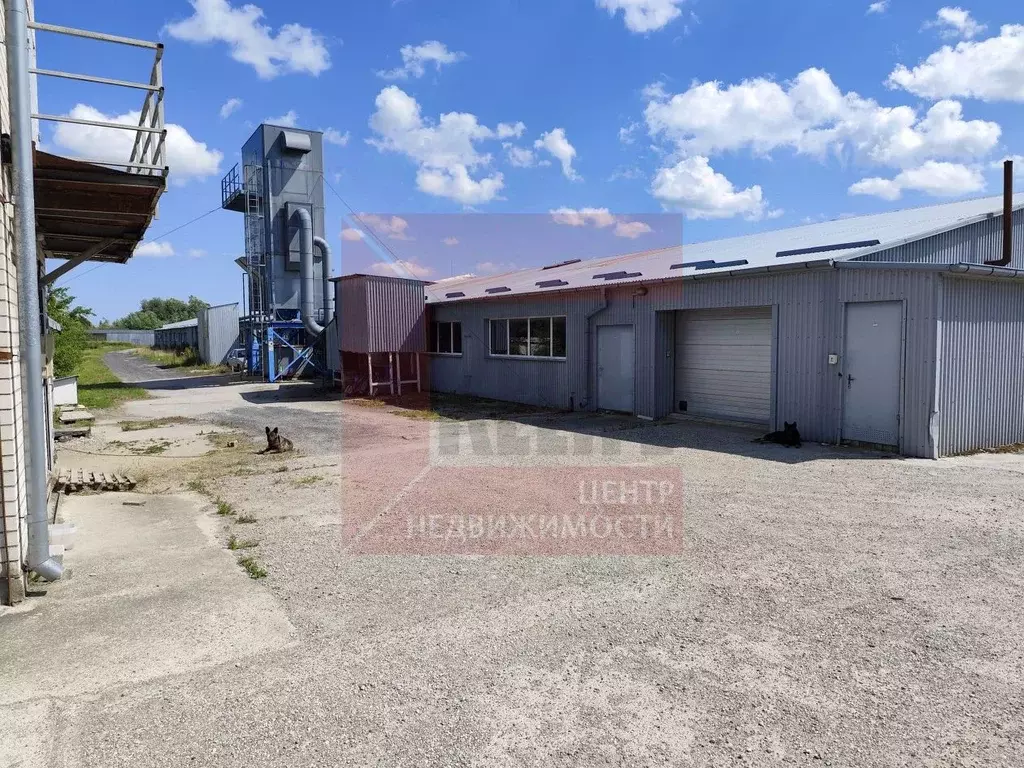 Производственное помещение в Калининградская область, Гурьевский ... - Фото 1