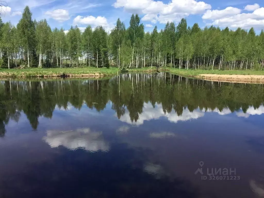 Участок в Московская область, Клин городской округ, Эколуга ТСН  (13.0 ... - Фото 1