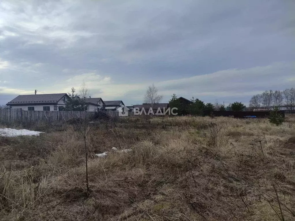 Участок в Нижегородская область, Богородский муниципальный округ, с. ... - Фото 1