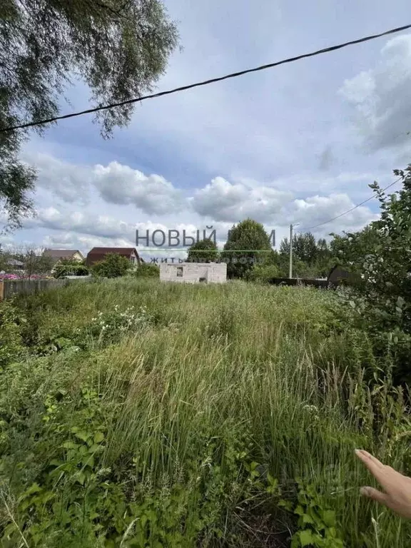 Участок в Новгородская область, Новгородский район, Савинское с/пос, ... - Фото 1