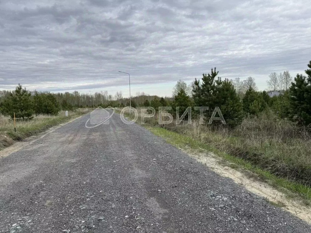 Участок в Тюменская область, Ялуторовский муниципальный округ, с. ... - Фото 1