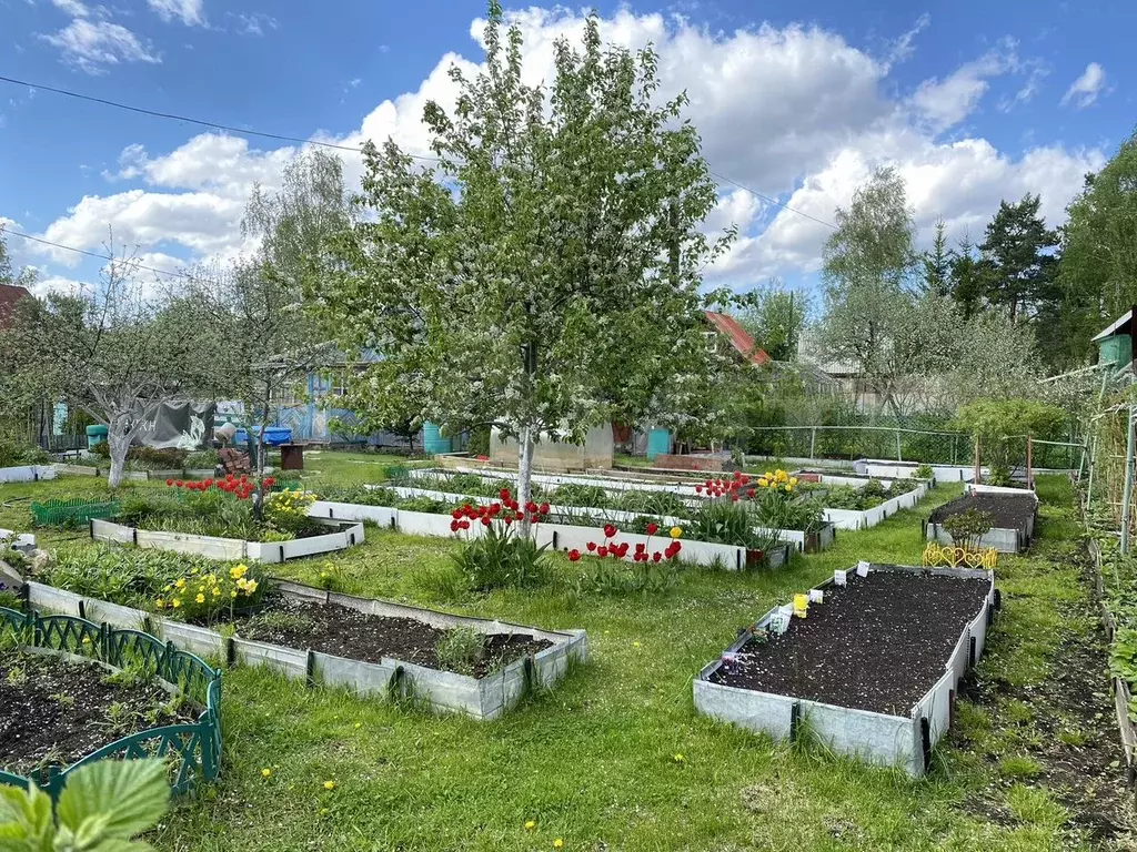 Участок 4 сот. (СНТ, ДНП) - Фото 1