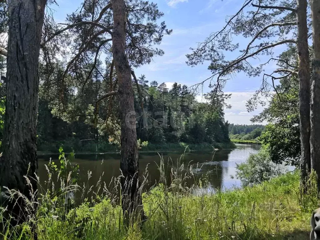 Участок в Ленинградская область, Волосовский район, Сабское с/пос, д. ... - Фото 1