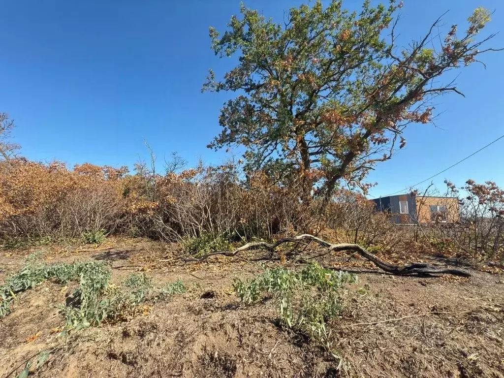Участок в Крым, Щелкино Ленинский район, ул. Центральная, 36 (8.0 ... - Фото 2