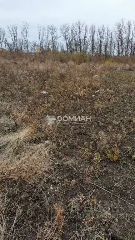 Участок в Ростовская область, Аксайский район, Грушевская ст-ца пер. ... - Фото 2
