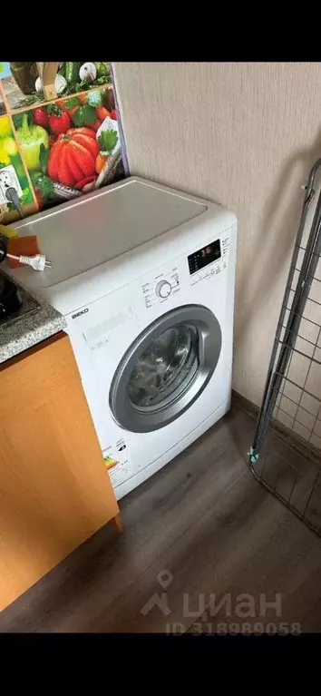 Комната Новосибирская область, Новосибирск ул. Немировича-Данченко, ... - Фото 0