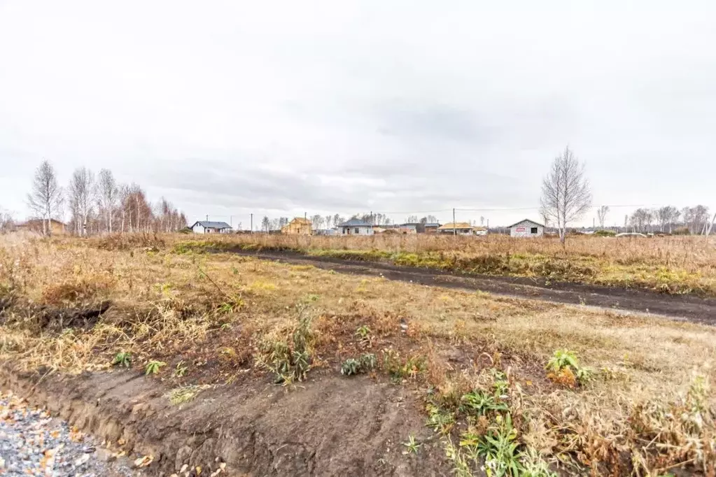 Участок в Новосибирская область, Бердск Раздольный мкр,  (9.5 сот.) - Фото 2