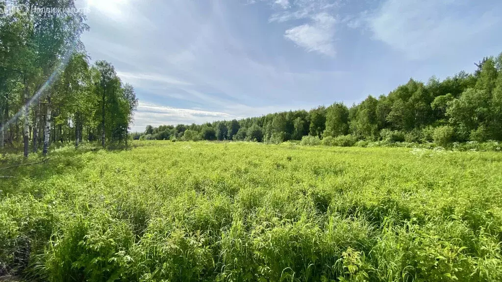 Участок в Архангельская область, Приморский муниципальный округ, ... - Фото 2