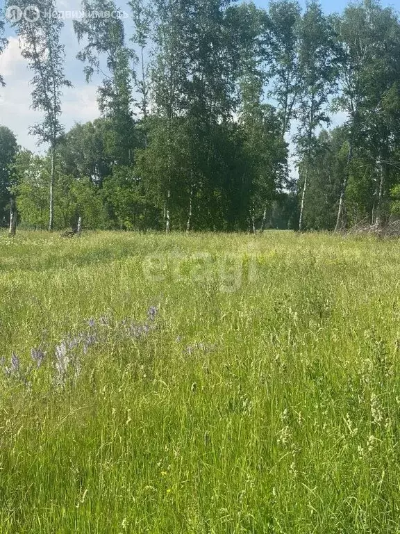 Участок в Кемеровский муниципальный округ, село Берёзово (13.2 м) - Фото 0