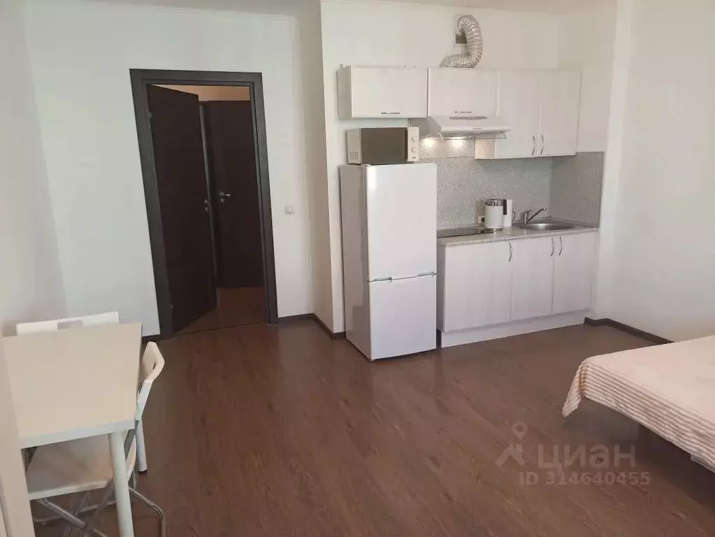 Студия Санкт-Петербург просп. Энергетиков, 11к2 (26.0 м) - Фото 1