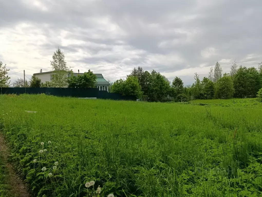 Участок в Ленинградская область, Волосовский район, Калитинское с/пос, ... - Фото 1