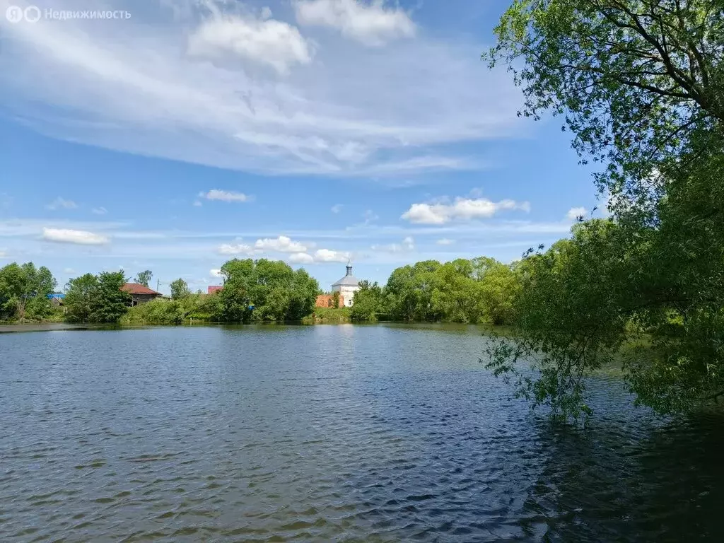 Дом в Суздальский район, муниципальное образование Павловское, село ... - Фото 1