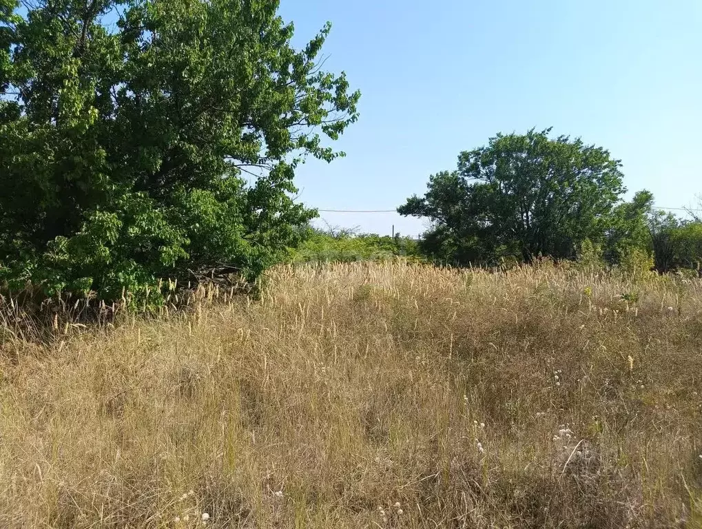 Участок в Краснодарский край, Ейск Виктория СТ,  (5.0 сот.) - Фото 1