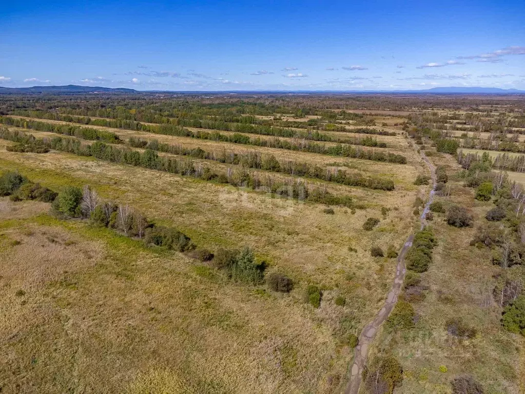 Участок в Хабаровский край, Хабаровский район, Мичуринское с/пос, с. ... - Фото 1
