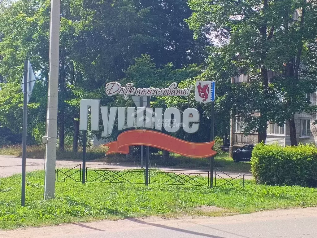 2-к кв. Ленинградская область, Выборгский район, Рощинское городское ... - Фото 1