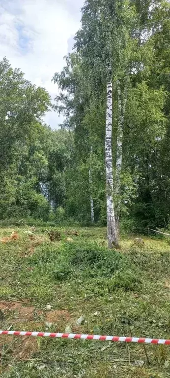 Участок в Челябинская область, Сосновский муниципальный округ, пос. ... - Фото 0