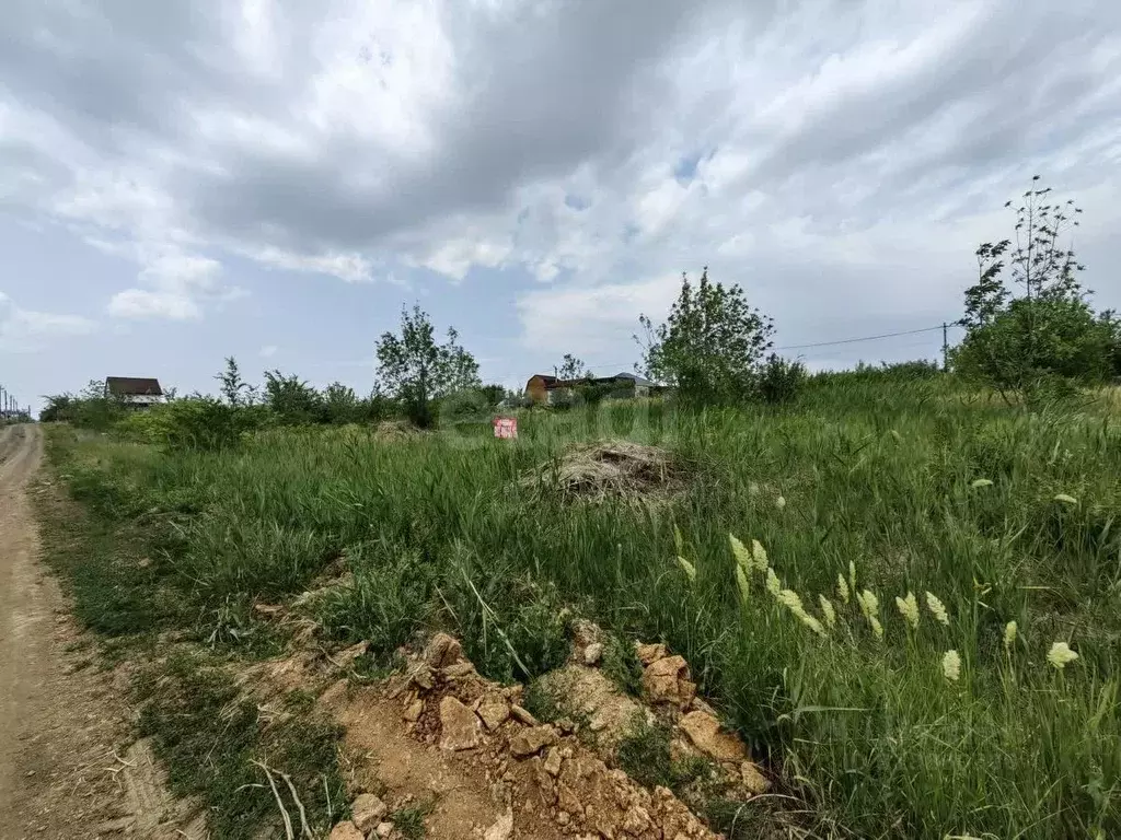 Участок в Ростовская область, Родионово-Несветайский район, ... - Фото 0