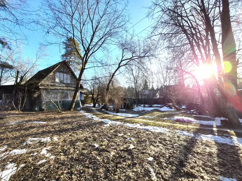 Участок в Московская область, Щелково городской округ, Загорянский дп ... - Фото 1