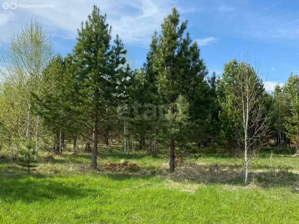 Участок в Чебаркульский округ, посёлок Кумысный (12 м) - Фото 0