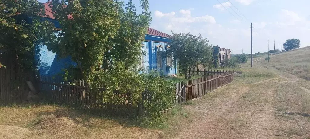 участок в воронежская область, борисоглебский городской округ, с. . - Фото 1