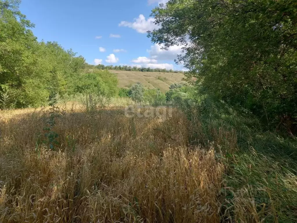 Участок в Белгородская область, Губкинский городской округ, с. Мелавое ... - Фото 0